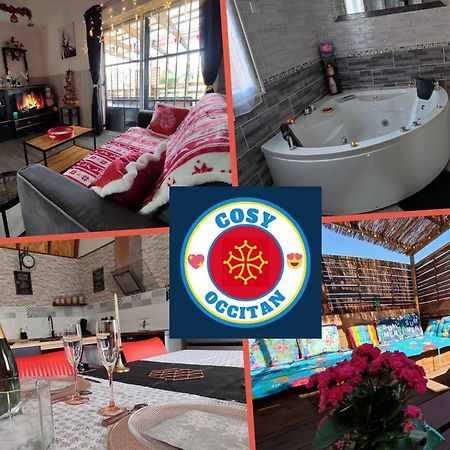 Le Cosy Occitan Villa Chaleureuse Independante Baignoire Terrasse Jardin Καρκασόν Εξωτερικό φωτογραφία