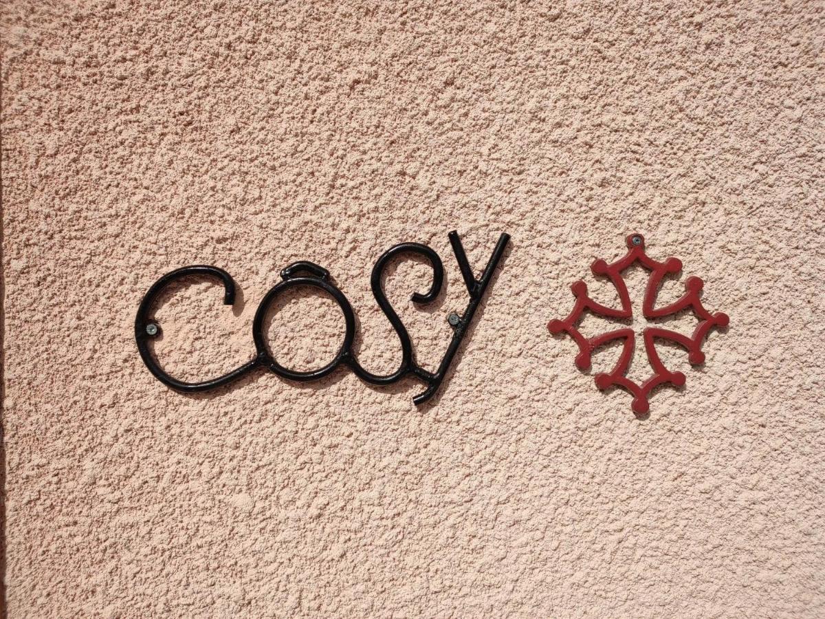Le Cosy Occitan Villa Chaleureuse Independante Baignoire Terrasse Jardin Καρκασόν Εξωτερικό φωτογραφία