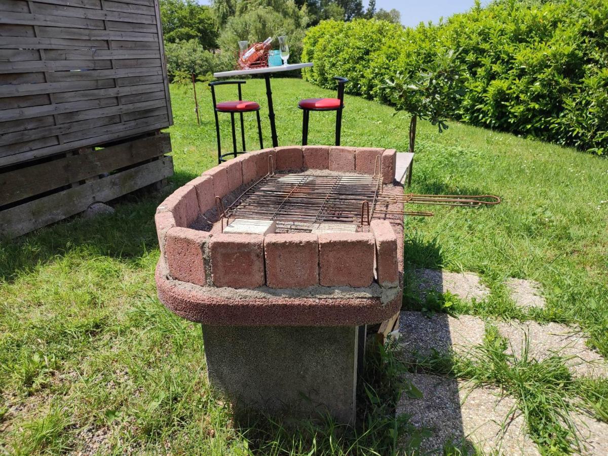Le Cosy Occitan Villa Chaleureuse Independante Baignoire Terrasse Jardin Καρκασόν Εξωτερικό φωτογραφία