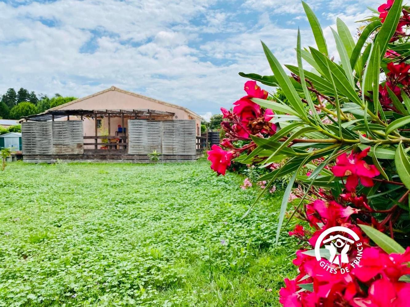 Le Cosy Occitan Villa Chaleureuse Independante Baignoire Terrasse Jardin Καρκασόν Εξωτερικό φωτογραφία